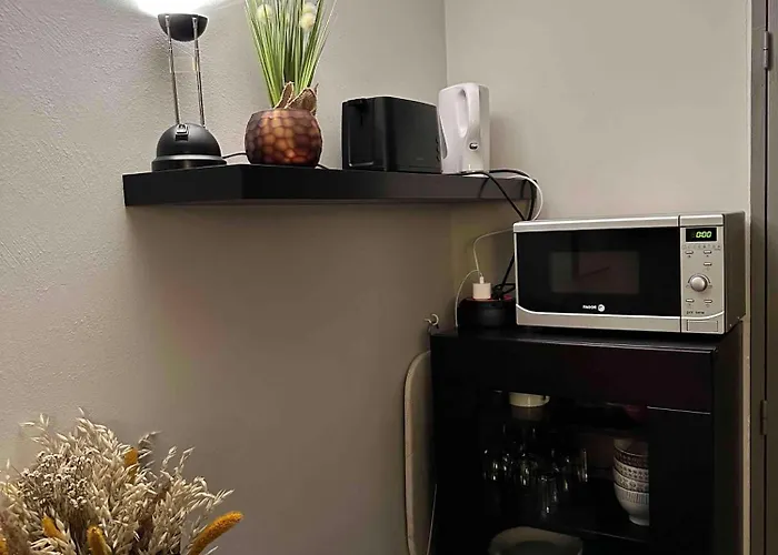 24 M2 - Classe 2 Etoiles - La Mongie Tourmalet - Pied Des Pistes - Balcon Plein Sud - Parking Public *